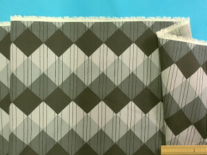 ݌ɏȃ[vgnO[×i120cm@2mj