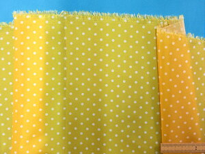 ݌ɏvg|GXenʃCG[×Iti145cm@1D5mJbgj