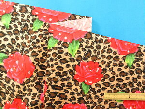 ݌ɏȃvgHni~l[gEShjo/qEZx[W×ZsNi107×50cmj