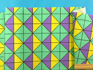 ݌ɏȃvgIbNXnO×i110cm@1mj