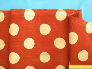 ȃvg׃R[Vn()EKi105cm@2mj