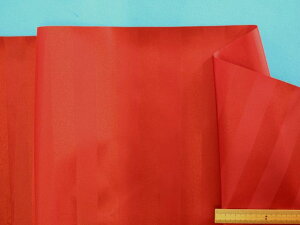 HnXgCvEԁi150cm@1D5mj