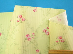 CeA|GXeWK[hnԁEL~h×sNi135cm@1D5mj