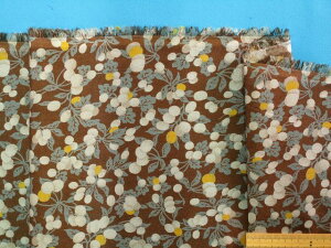 ȃvgrGnAEZJ[Ln×CG[i100cm@2mj