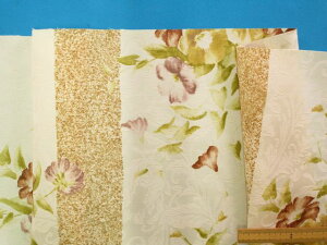 CeA|GXeWK[hnԁEAC{[×i150cm@1D5mj