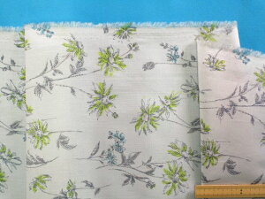 ȃ[vgnԁEO[×aL~hi105cm@2mj