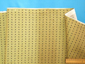 USARbgn×X×i110cm@2mj