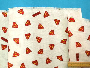 ȃ_uK[[nIt×ԁi110cm@1mj