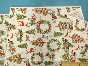 ȃvgnNX}X/giJCEAC{[×i105cm@1mj