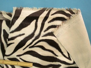 tFCNt@[nAj}Ex[W×(135cm@1D5m)