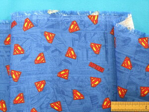 ȃ_uK[[nu[×ԁi110cm@1mj