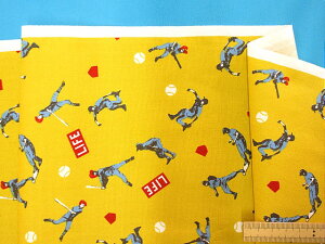 ȃvgIbNXn싅EJVi110cm@2mj