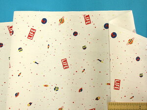 �݌ɏ����ȃv�����g�I�b�N�X���n�f���E�I�t���i110cm���@2m�j