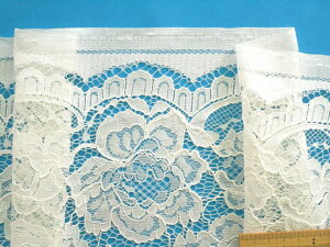 R[h[XnԁEAC{[i100cm@2mj