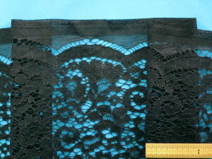 bZ[XnԁE×NAi100cm@2mj