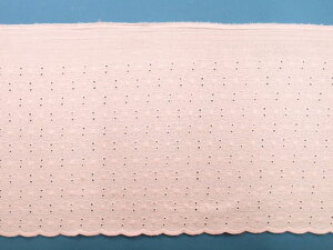 ȃ_uK[[[XԁEsNi24cm@2mj