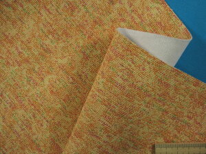 ݌ɏ琶nIWni125cm@50cmj