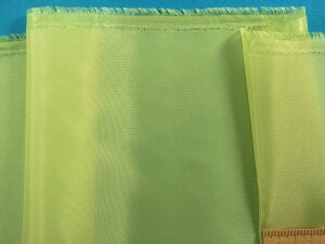 ݌ɏ|GXenOi120cm@2mJbgj