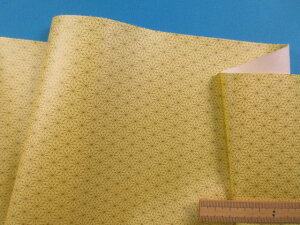 \tg琶nij̗tECG[i135cm@50cmj