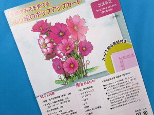 |LbghG̃|bvAbvJ[hRXXiG߂̂Ԃłj