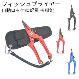 tBbVObv tBbVvC[ ނpy` ͂݊ ނ@ނ@bN@A~ y @\@݈Ղ@S[vt XeX C