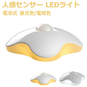 lZT[ LEDCg dr 3Me[v SŒ 铔 iCgCg   N[[bg ^ zCg F/dF