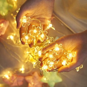 LEDC~l[VCg O h XgOCg 80 10m dr Lvp nEB  O  K[fCg }`bN͋C Q Lv  NX}X o^