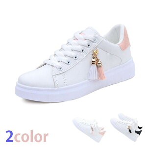 Xj[J[ q[Xj[J[ fB[X Xj[J[ V[Y JWAV[Y nCq[ RC ^C@ X|[c ~ Ռz@ʋC jO @₷ 2colo