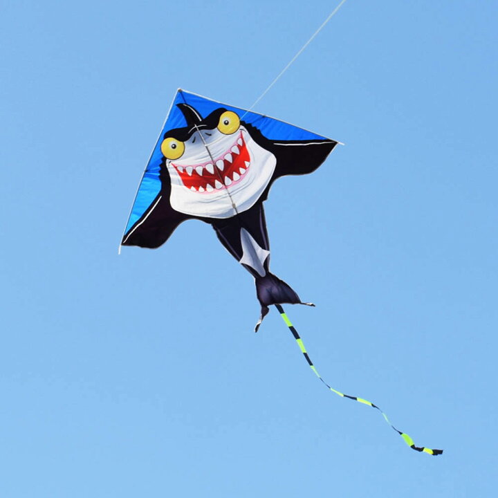楽天市場】凧 カイト 凧揚げ 紙鳶 スカイカイト スポーツカイト 三角凧 