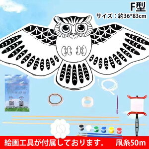 DIY凧 カイト 5枚セット おもちゃ 子供 玩具 凧揚げ 手作り凧 絵画カイト 自分デザイン 玩具 凧揚げ カイト凧 公園遊びグッズ たこあげ 初心者 男の子 女の子 ホ軽量 小型 カラフルカイト アウ