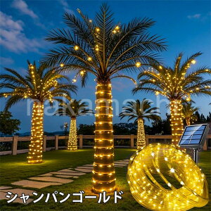 `[uCg \[[ C~l[VCg NX}XCg 50 7m 8p^[ \[[C~l[V \[[Cg \[[LED \[[[d z zpl Ԏ_ 