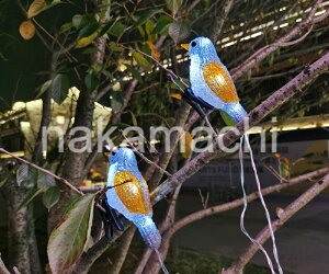 LEDC~l[VCg XgOCg USB K[fCg  킢@O h CeA @ @ԉ  K[f fR[VCg XgOCg 