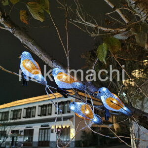 LEDC~l[VCg XgOCg dr K[fCg  킢@O h CeA @ @ԉ  K[f fR[VCg XgOCg 