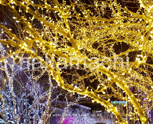 y2ZbgzLEDC~l[VCg 100 10m CeACg XgOCg NX}X  h OΉ 8_p^[