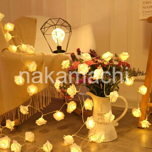 y2Zbgzo Cg C~l[VCg LEDCg dr 3M 20 2[h o^ K[fCg NX}X  tFA[Cg od ͋C p[eB[ c[ le