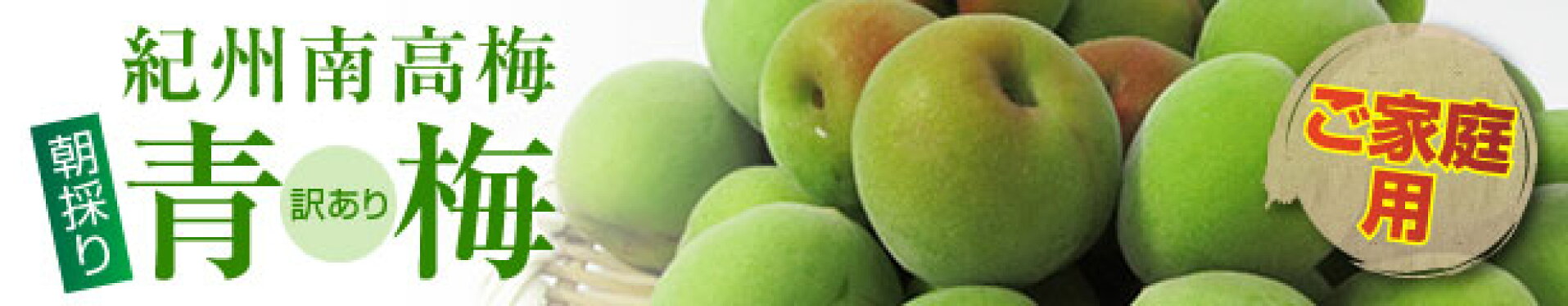 朝採り　訳あり　青梅