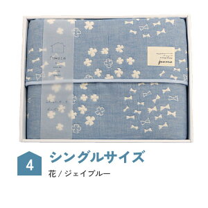 K[[Pbg ӂZdDK[[PbgyԂƖkzMtg{bNXVOEn[tTCY{Mtg/j/j/Rbg/Y/ɗD/100/6dK[[/O͖ؖ