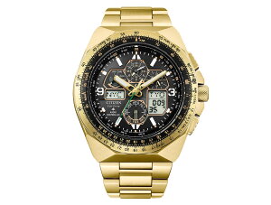 �y���������z�y�����y�Ή��z�y���K�i�zCITIZEN PROMASTER(�V�`�Y�� �v���}�X�^�[) �w�G�R�E�h���C�u 50���N���胂�f�� SKYHAWK �xJY8144-50E