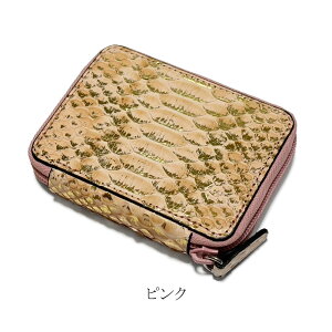 Eht@Xi[ J[hP[X J[h {v pC\ [t ΂玮 e RpNg  { Y fB[X  Mtg v[g