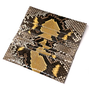 z {v pC\ z TCt Y fB[X ^  D ֊v wrv U[ }` Kꖳ {vz {  P06 CG[