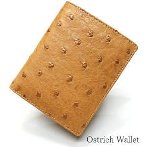 I[Xgb`v z kv I[Xg U[ {v z ܂z ܂z fB[Xz Yz {bNX^Kt  L