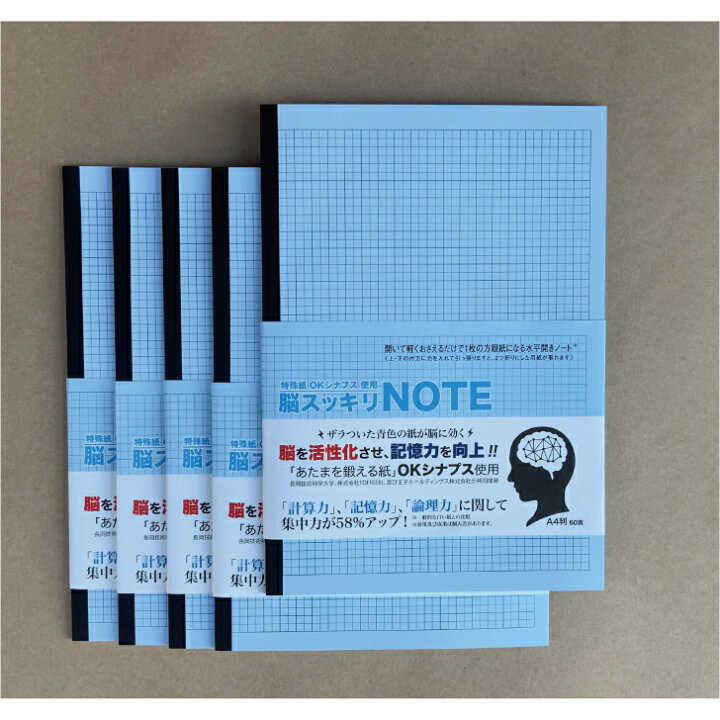 楽天市場 中村印刷所 水平開きノート 脳スッキリノート 方眼5mm 30枚 5冊セット おじいちゃんのノート中村印刷所