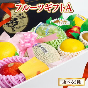 【青果のプロが厳選 】【No.1シャインマスカット / りんご/ 柑橘 / キウイ ・No.2メロン/シャインマスカット/柑橘系/りんご/キウイ No.3巨峰/メロン/シャインマスカット/柑橘系/りんご/キウイ 】