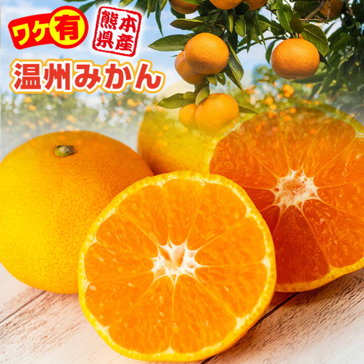 楽天市場】【送料無料】 みかん 温州みかん 訳あり 熊本産 10kg 9kg+1kg補償付き サイズ不選別 家庭用 完熟みかん 甘い 美味しい 濃厚 ジューシー 常温便 : 肥後中村屋 楽天市場店 楽天市場】【送料無料】 みかん 温州みかん 訳あり 熊本産 10kg 9kg+1kg補償付き サイズ不選別 家庭用 完熟みかん 甘い 美味しい 濃厚 ジューシー 常温便 : 肥後中村屋 楽天市場店