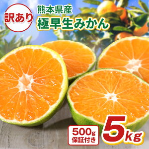 ݂ 󂠂 ɑ F{Y 5kg (4.5kg+500g)ۏ   e s\ 퉷 9`o
