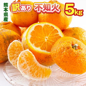 【大特価セール】【4.5kg + 500g保証分】約5kg ※期間限定※ 無くなり次第終了 訳あり デコポン 不知火 みかん 熊本産 送料無料 常温便