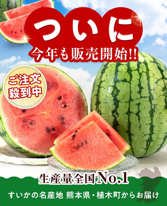 母の日ギフト ”熊本すいか” Mサイズ 約5kg以上 カーネーション造花付き 化粧箱【予約 5月2日〜5月10日お届け予定】 送料無料 完売御礼】【母の日ギフト 送料無料】産地直送カーネーション花束 22本 | 西九州させぼ地域商社 