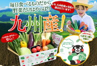 野菜 詰め合わせ 旬の野菜 熊本県産 九州産 選べる品目 卵 有機野菜 減農薬 定期便 新鮮 一人暮らし 仕送…