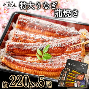 hV̓ Ȃ Ă V EiM  220g 2 3 4 5 ϔ CN Ȃ Hו O Mtg j a 蕨 80 70 60 c 