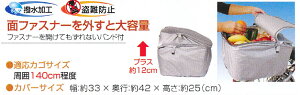 [vې쏊]uD-2 2iJSJo[vEi : D-2RSVEގ : |GXe(Vo[R[eO)/EVA(t^)EJ[ : Vo[E݌Ɍ